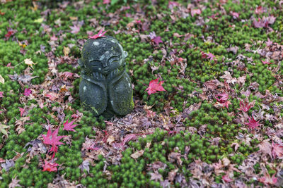Stone statues at zuiganzan enkouji temple in kyoto, temple has a beautiful garden with a pond 