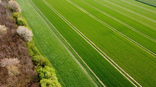 High angle view of soccer field