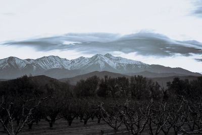 Scenic view of snowcapped mountains against sky