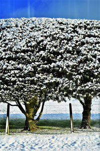 Scenic view of snow covered field against sky