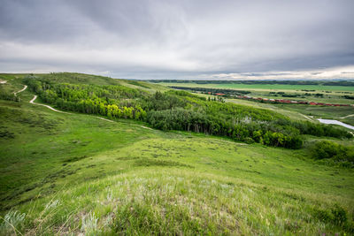 Scenic view of agricultural field against sky