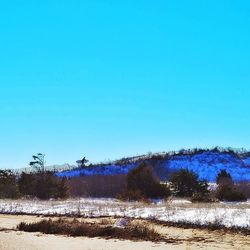 Scenic view of landscape against clear blue sky