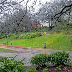 Road amidst bare trees against sky