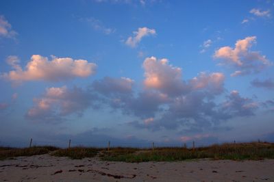 Scenic view of field against sky during sunset