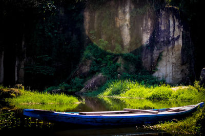 Scenic view of lake in forest