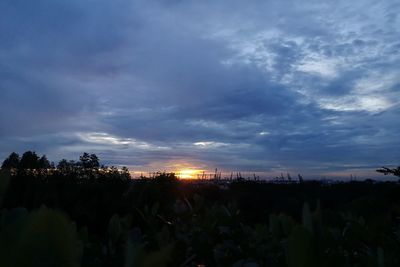Silhouette trees on field against sky at sunset