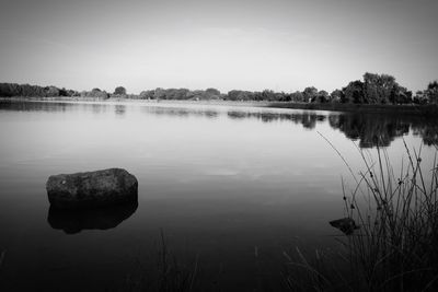 Reflection of trees in calm lake