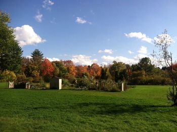 Trees on grassy field against cloudy sky