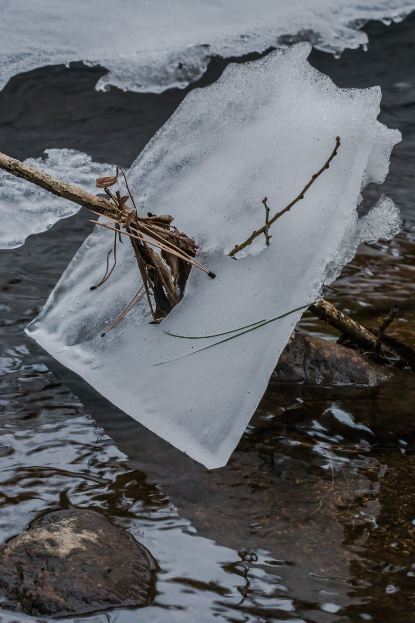 HIGH ANGLE VIEW OF FROZEN TIED TO WOOD