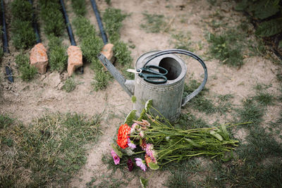 Beautiful bouquet of bright flowers in watering can on flower garden. gardening concept.