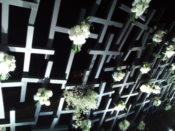 Low angle view of potted plants at night