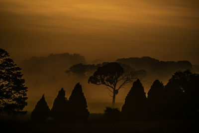 Silhouette trees against sky during sunset