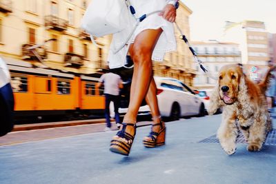 Low section of woman with dog in city