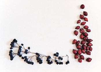 High angle view of berries on white table