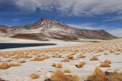 Scenic view of desert against cloudy sky