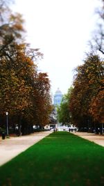 Trees in park during autumn