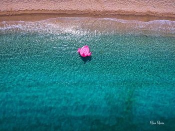 Rear view of woman with pink petals floating on water