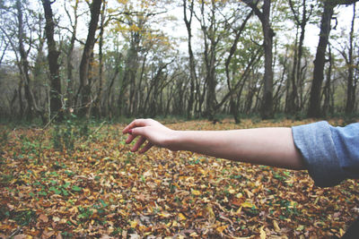 Midsection of woman in forest during autumn