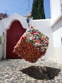 Flowers on wall of building