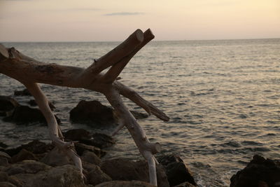 Scenic view of sea during sunset