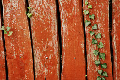 Full frame shot of weathered wooden fence