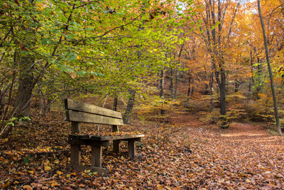 Empty bench in park