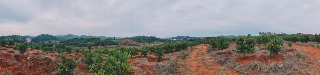 Panoramic view of land and trees against sky