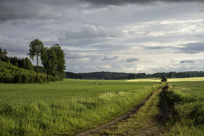 Scenic view of farm against sky