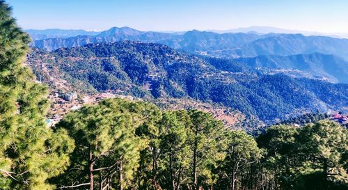 Panoramic view of trees and mountains against sky