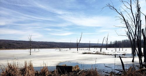 Scenic view of lake against sky during winter