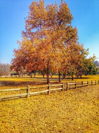 Scenic view of field against cloudy sky