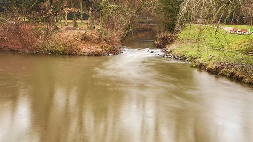 Scenic view of river flowing in forest