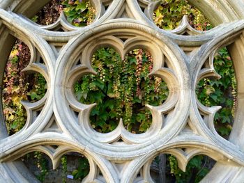 Close-up of plants seen through concrete fence