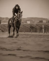 Woman riding horse in sand