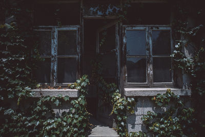 Abandoned building by plants