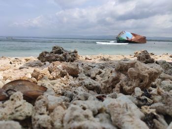sea