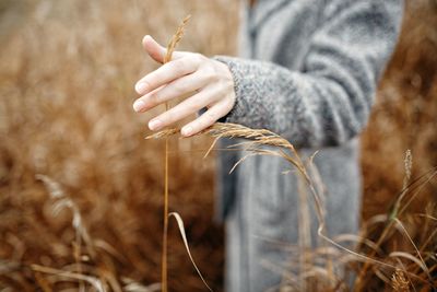 Midsection of man holding plant