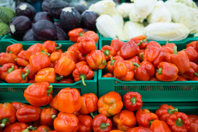 Pumpkins for sale at market stall