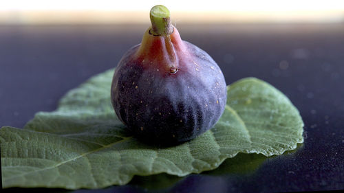 Close-up of fruit