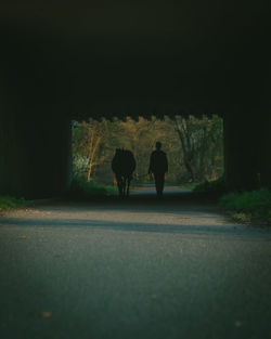 Rear view of silhouette people walking on road
