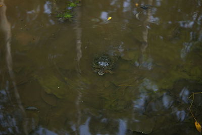 High angle view of water in lake