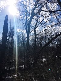 Silhouette trees in forest against sky