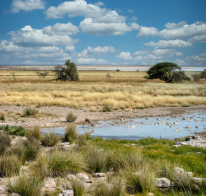 Scenic view of land against sky