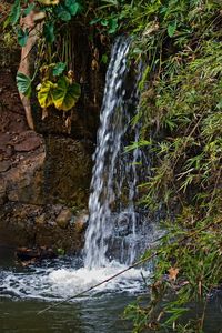 Scenic view of waterfall