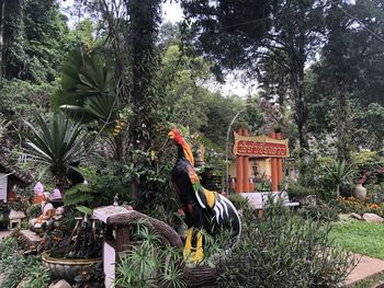 Trees and plants in park