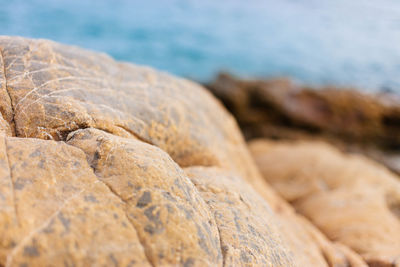 Close-up of rocks at shore