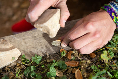 Midsection of person holding mushrooms