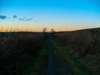 Dirt road passing through field