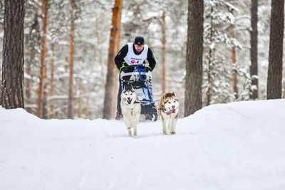 View of a dog on snow covered land