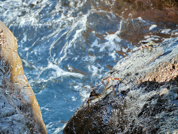 High angle view of rocks in sea